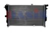 OPEL 03096385 Radiator, engine cooling